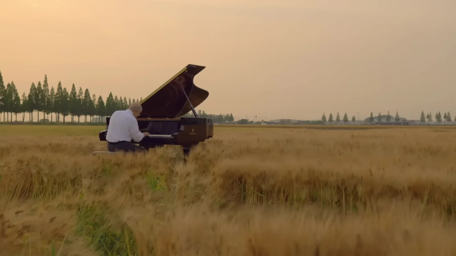 Yuhki Kuramoto playing in a barley field with the Gimje plain stretching to the horizon
