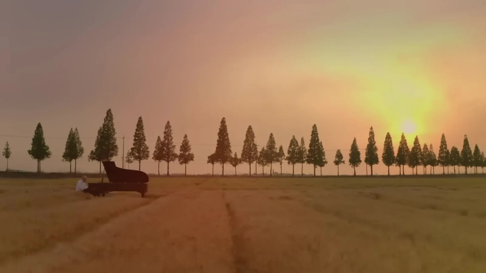 Yuhki Kuramoto plays a grand piano on a metasequoia-lined road at sunset in Gimje